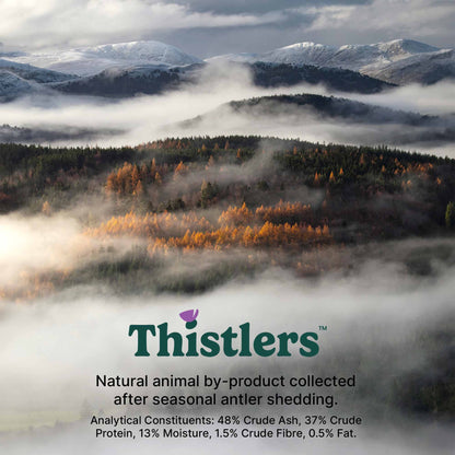 Thistlers Antler Dog Chew - Small