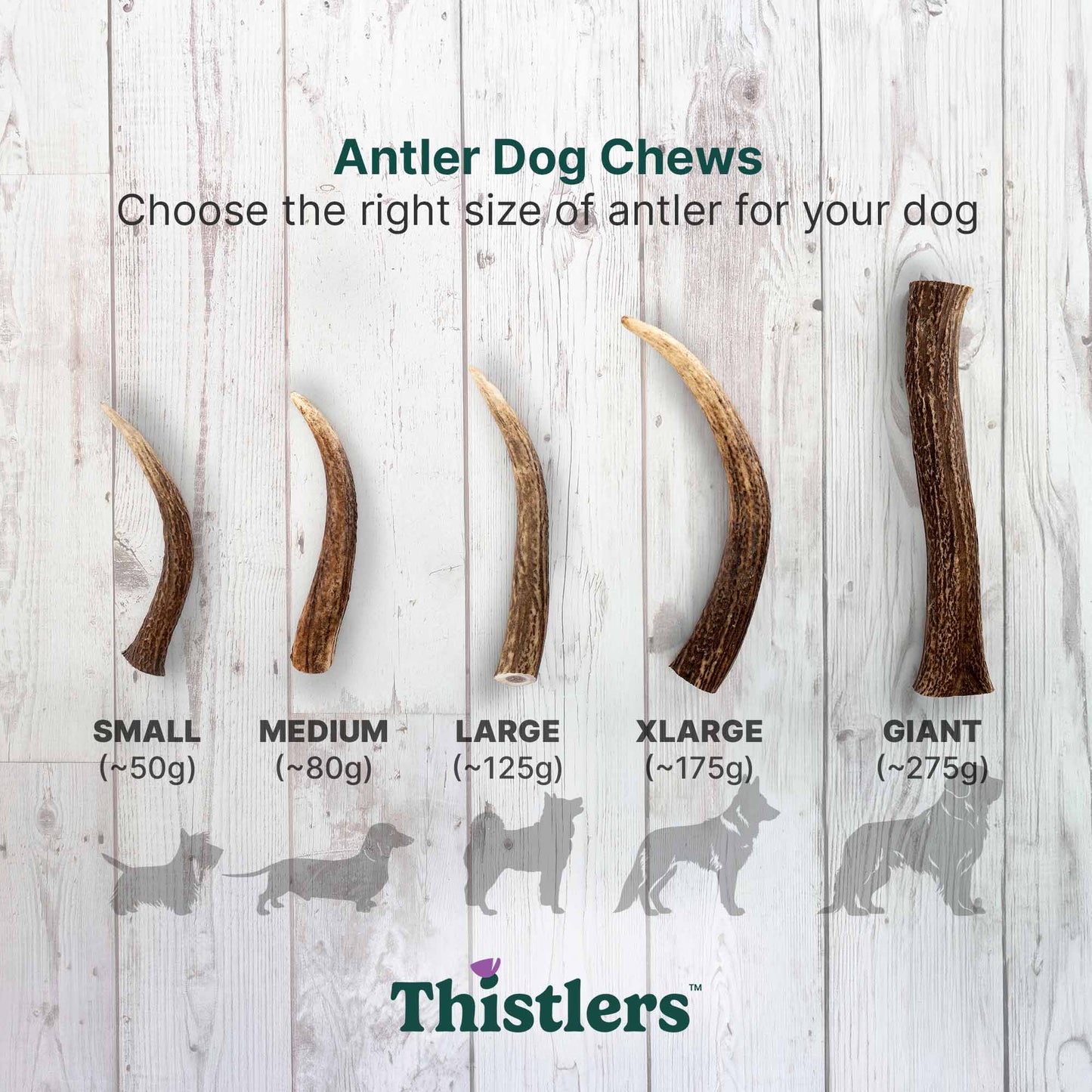 Thistlers Antler Dog Chew - Giant