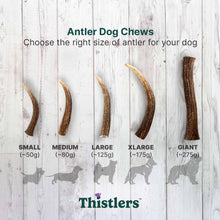 Thistlers Antler Dog Chew - Small