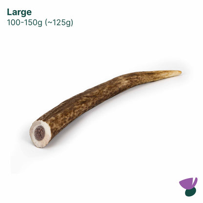 Thistlers Antler Dog Chew - Large
