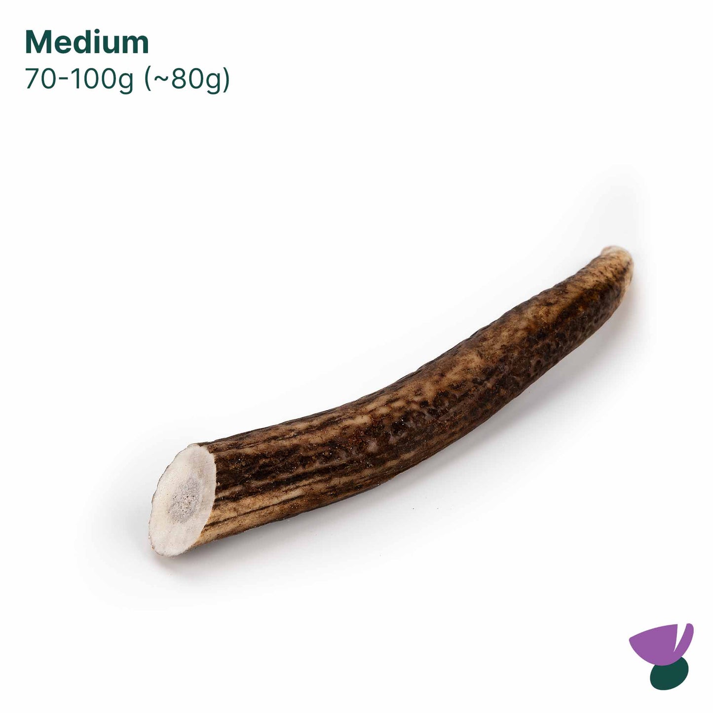 Thistlers Antler Dog Chew - Medium