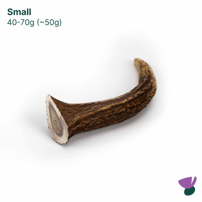 Thistlers Antler Dog Chew - Small