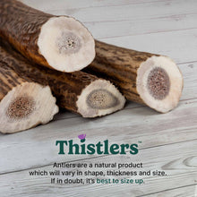 Thistlers Antler Dog Chew - Medium
