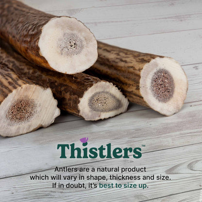 Thistlers Antler Dog Chew - Small