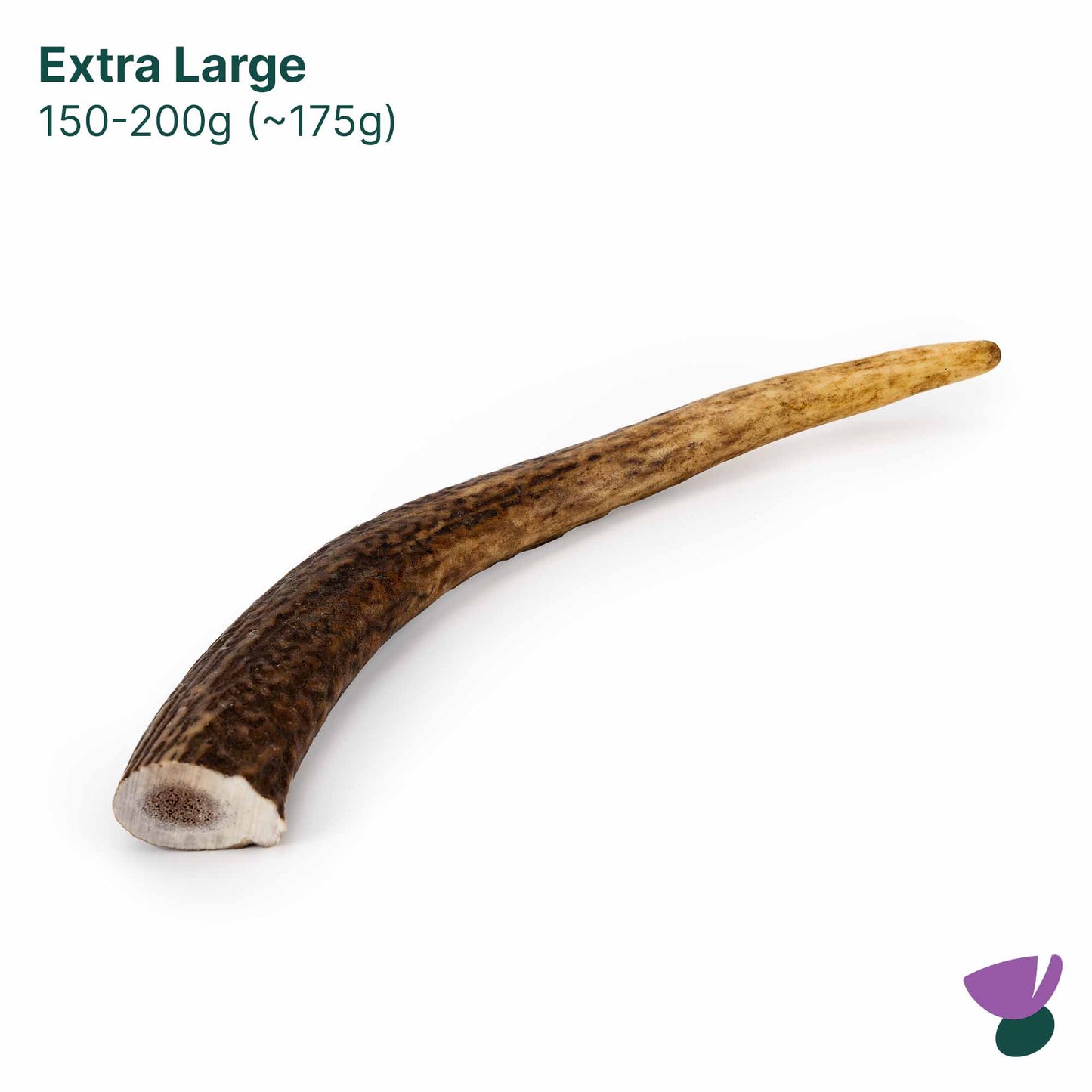 Thistlers Antler Dog Chew - Extra Large