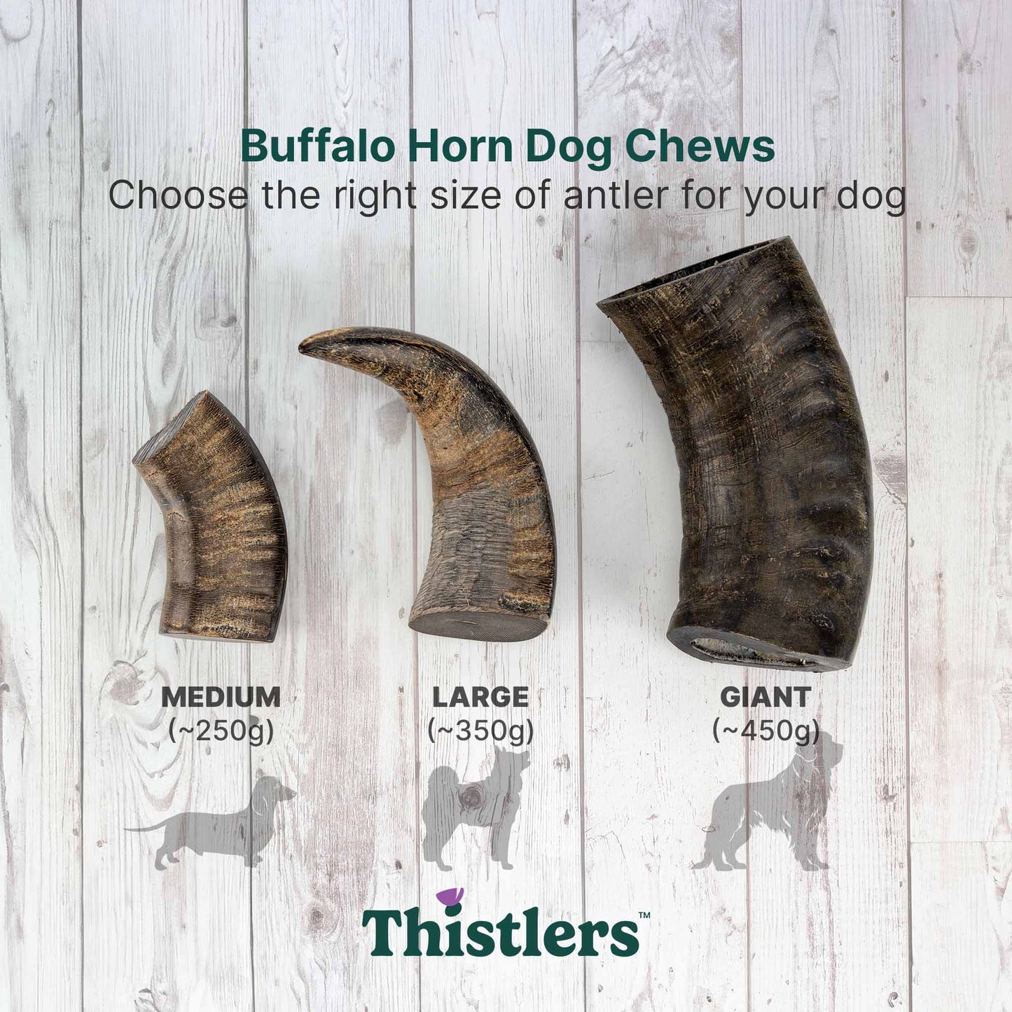 Thistlers Buffalo Horn Dog Chew - Giant