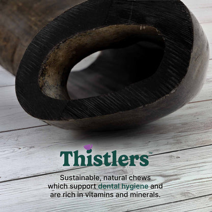Thistlers Buffalo Horn Dog Chew - Medium
