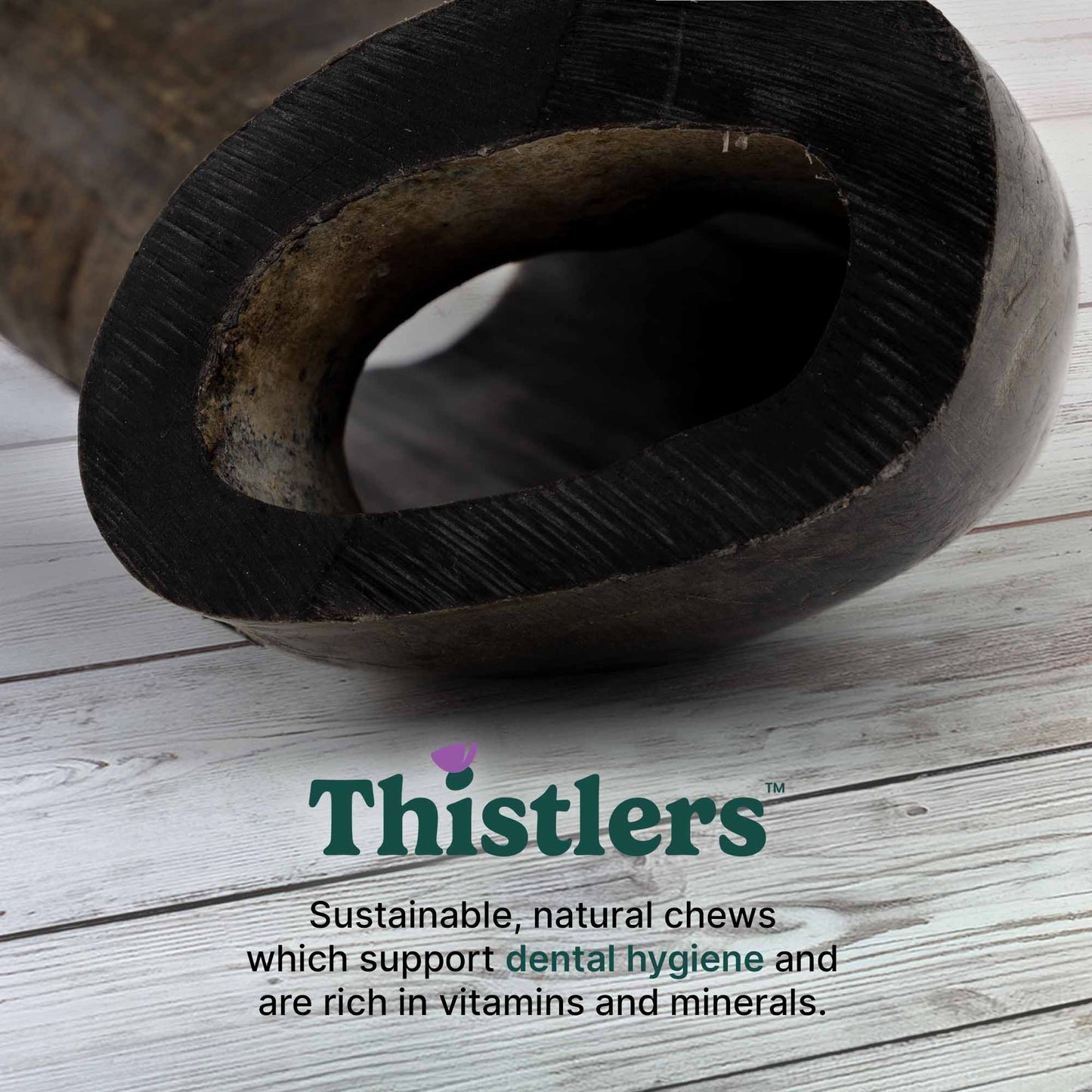 Thistlers Buffalo Horn Dog Chew - Giant