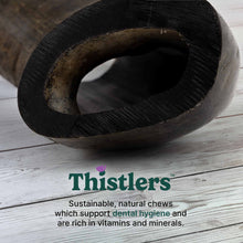 Thistlers Buffalo Horn Dog Chew - Giant