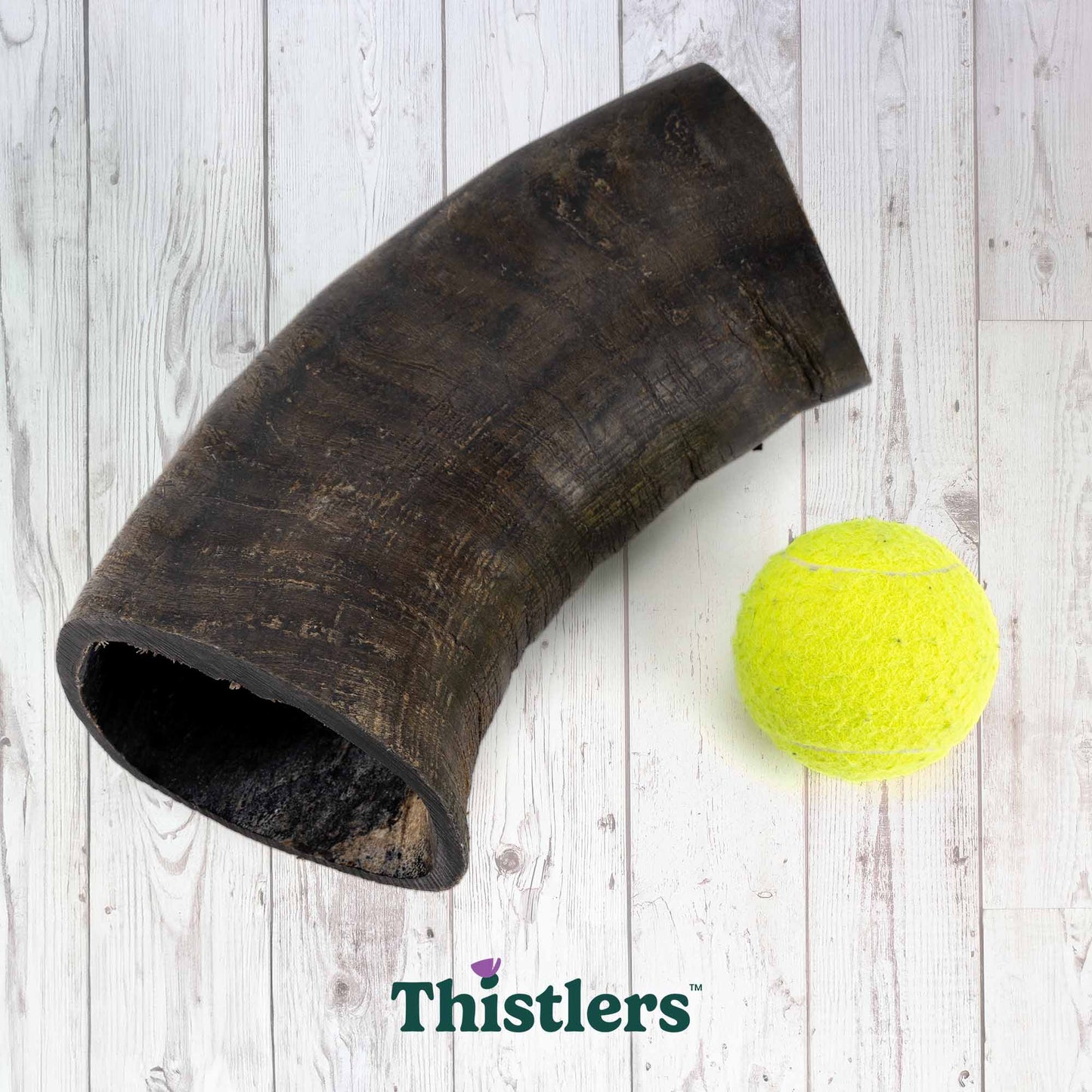 Thistlers Buffalo Horn Dog Chew - Giant