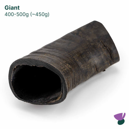 Thistlers Buffalo Horn Dog Chew - Giant