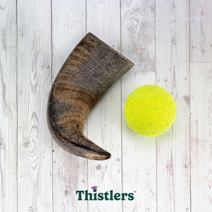Thistlers Buffalo Horn Dog Chew - Large