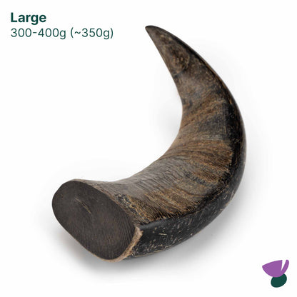 Thistlers Buffalo Horn Dog Chew - Large