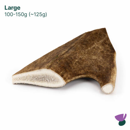 Thistlers Fallow Antler Dog Chew - Large