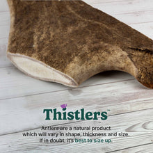 Thistlers Fallow Antler Dog Chew - Medium