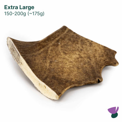 Thistlers Fallow Antler Dog Chew - Extra Large