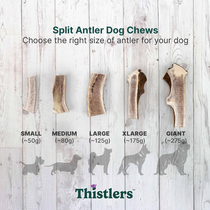 Thistlers Split Antler Dog Chew - Extra Large