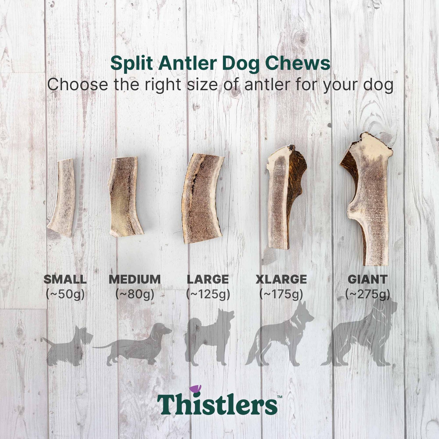 Thistlers Split Antler Dog Chew - Medium