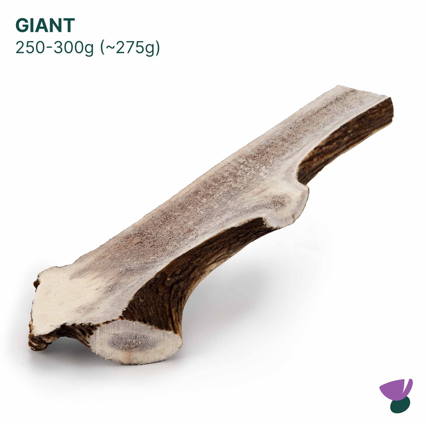 Thistlers Split Antler Dog Chew - Giant