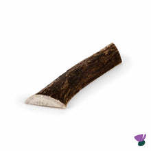Thistlers Split Antler Dog Chew - Small