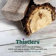 Thistlers Split Antler Dog Chew - Large