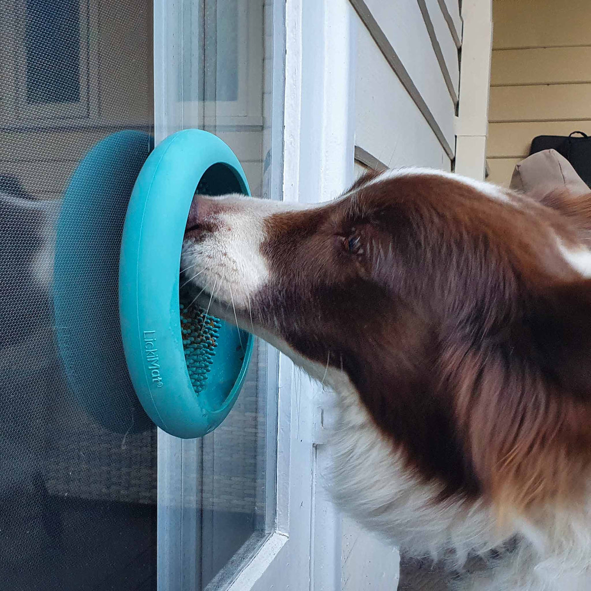 LickiMat UFO Dog & Cat Slow Feeder - Green