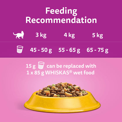 WHISKAS 1+ Adult Dry Cat Food - Chicken