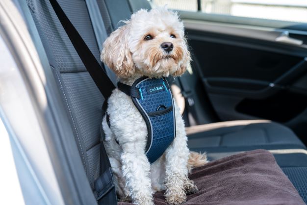 Car Crash Tested Dog Harness