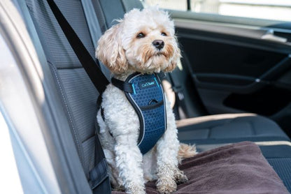 Car Crash Tested Dog Harness