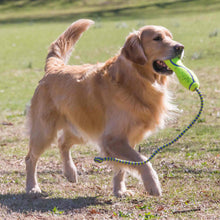 KONG Air Fetch Stick - Large