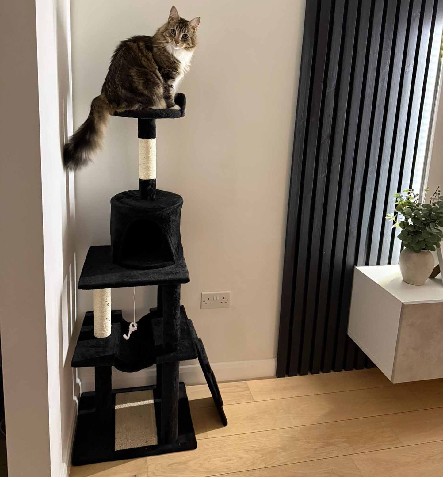 Purrshire Adventure Cat Activity Centre