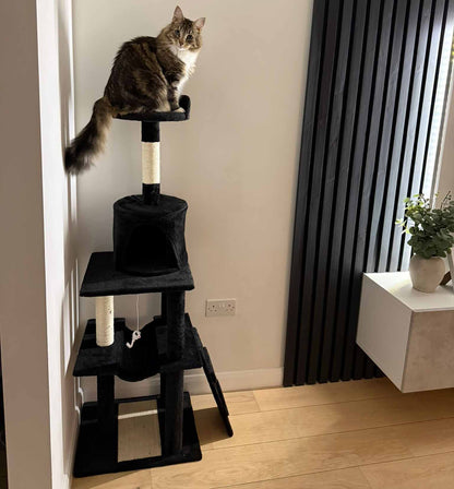 Purrshire Adventure Cat Activity Centre