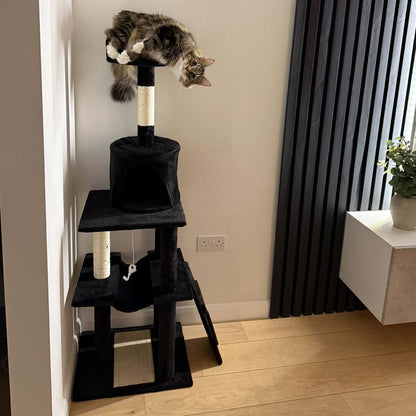 Purrshire Adventure Cat Activity Centre