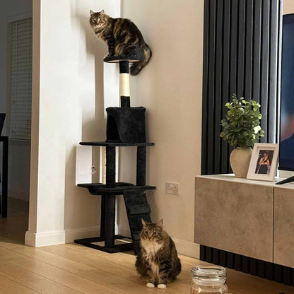 Purrshire Adventure Cat Activity Centre