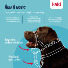 Halti Dog Headcollar - Black