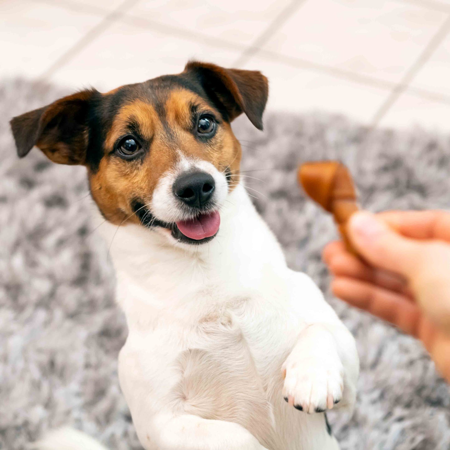 SmartBones Mini Bones - Beef - 8 Bones