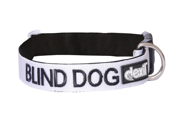 "Blind Dog" - Dog Collar