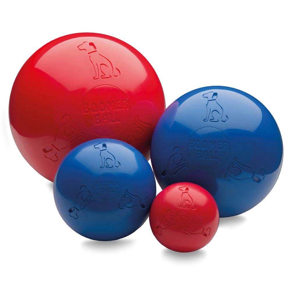 Company of Animals Boomer Ball 8in