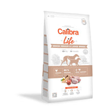 Calibra Life Medium and Large Breed Senior Dry Dog Food - Chicken
