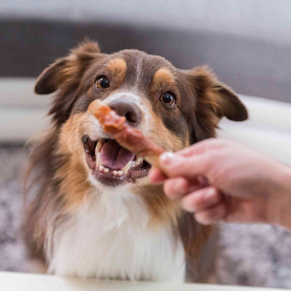 SmartBones Chicken Wrapped Mini Sticks Adult Dry Dog Treats - 9 Sticks