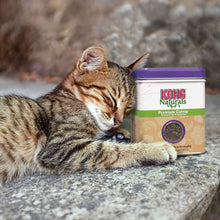 KONG Naturals Premium North American Catnip - 57g