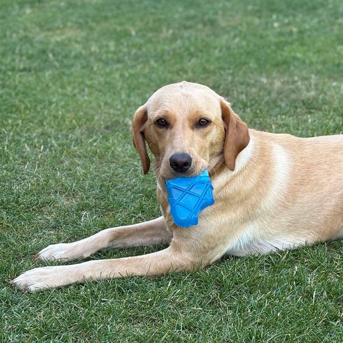 Danish Design Pet Cooling Ice Cream Toy