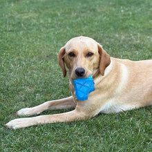 Danish Design Pet Cooling Ice Cream Toy