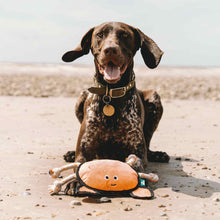 Beco Rough & Tough Recycled Crab Dog Toy - Large