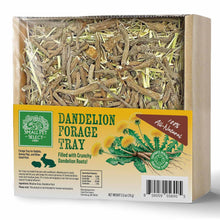 Small Pet Select Dandelion Forage Tray