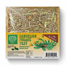 Small Pet Select Dandelion Forage Tray