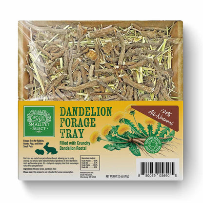 Small Pet Select Dandelion Forage Tray
