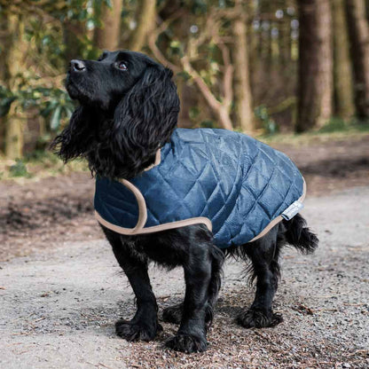 Danish Design Quilted Dog Coat - Navy - 10in / 25cm