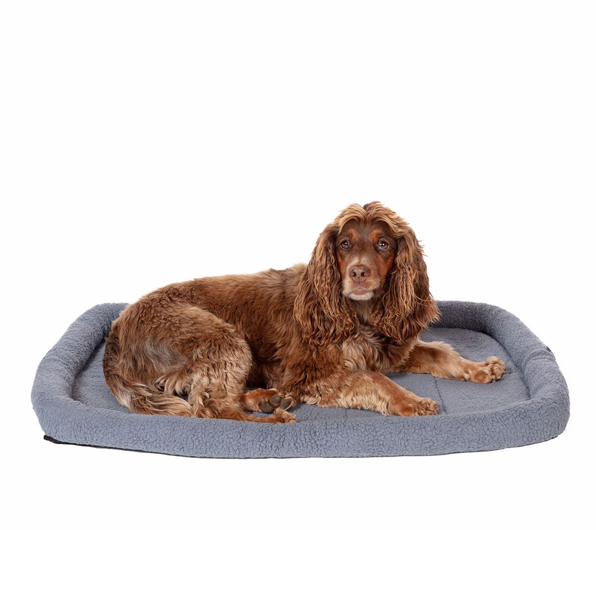 Danish Essentials Dog Mattress - Charcoal - Small 58x41cm