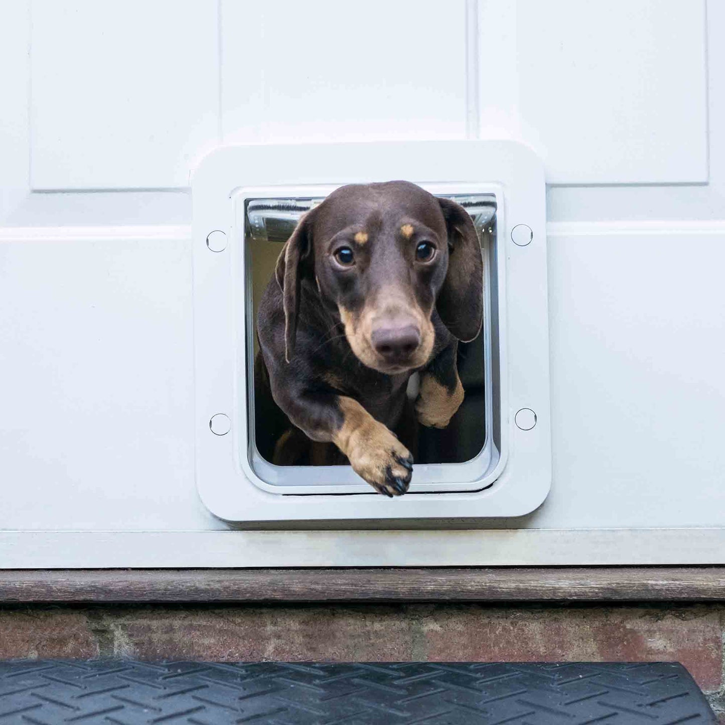 SureFlap Microchip Pet Door Connect with Hub